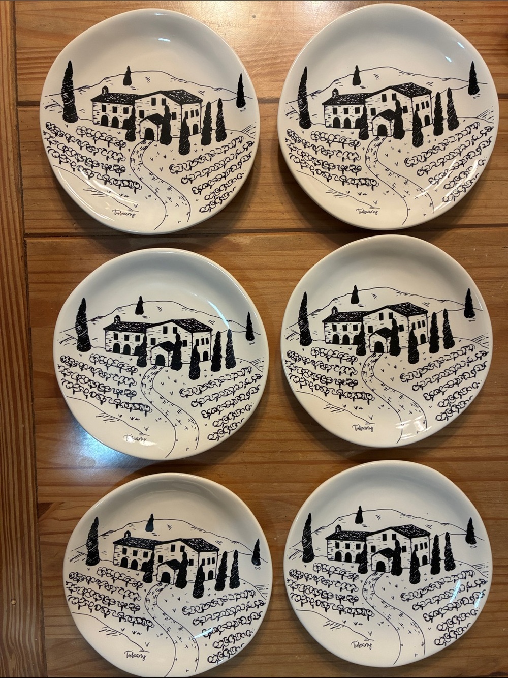 Pier 1 Tuscany Scene Plates Set of 6